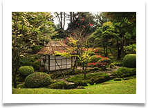 Autumn in the japanese garden - Richard Nicholls